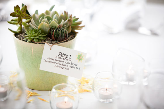 queensland wedding photographer