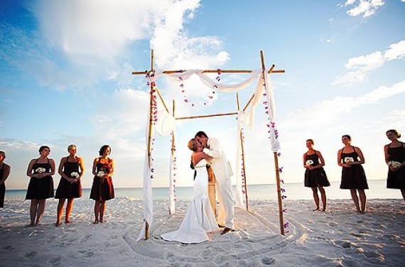 Beach wedding altar Wedding Backdrops
