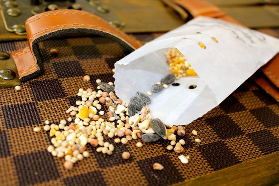 wedding bird seed bags