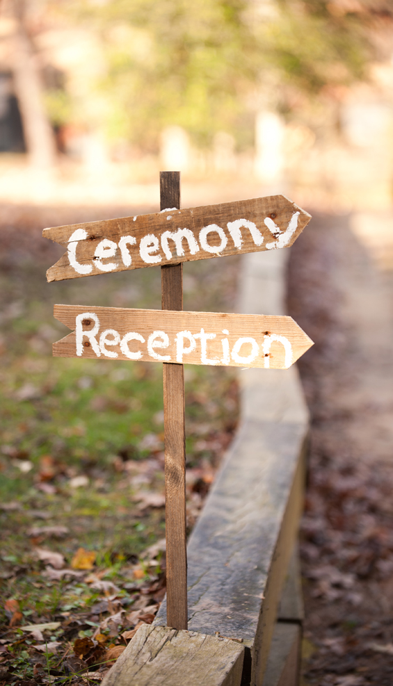 DIY Virginia wedding