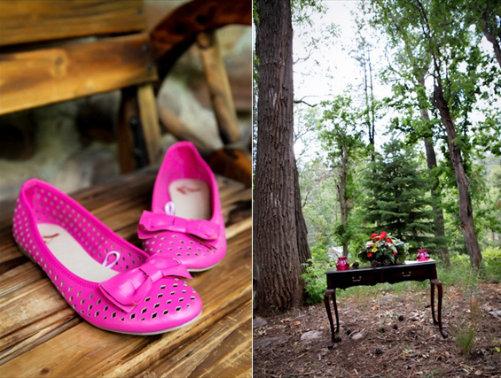 Christopher Creek Wedding
