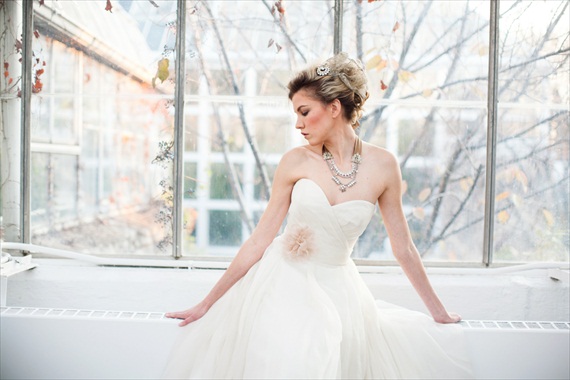 The Ritzy Rose - New Collection - 2013