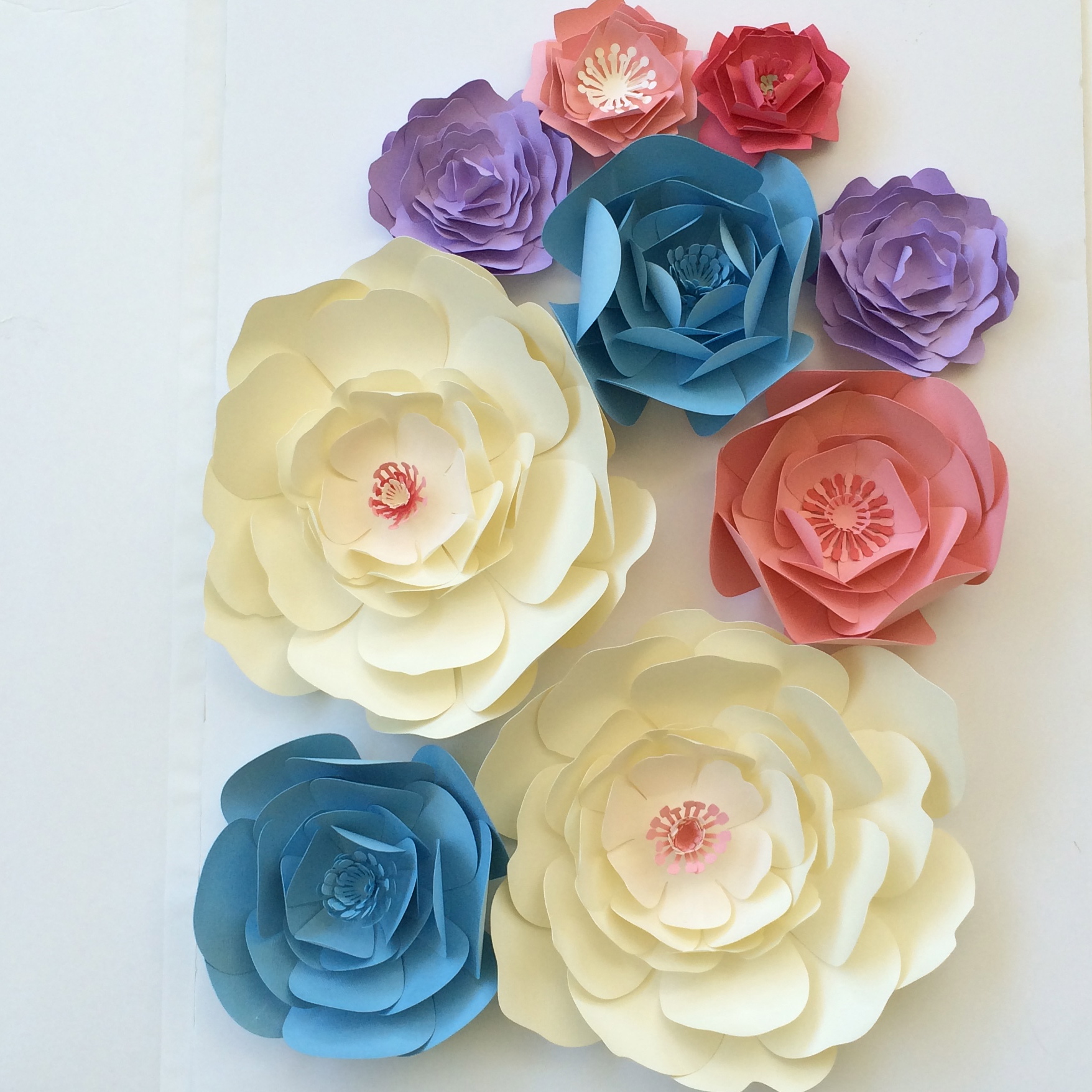 Paper Flower Wall