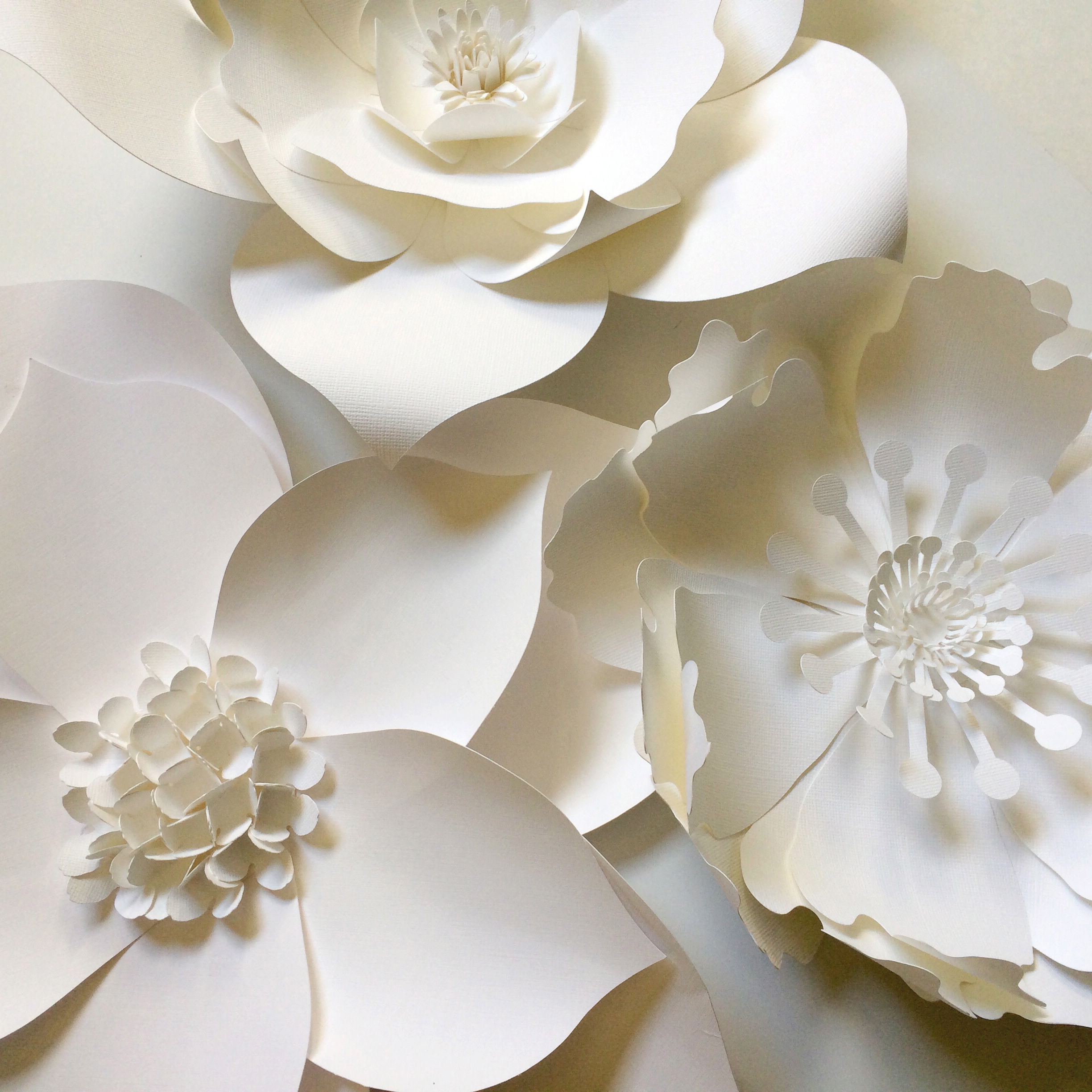 Large Paper Flower Backdrop Photobooth