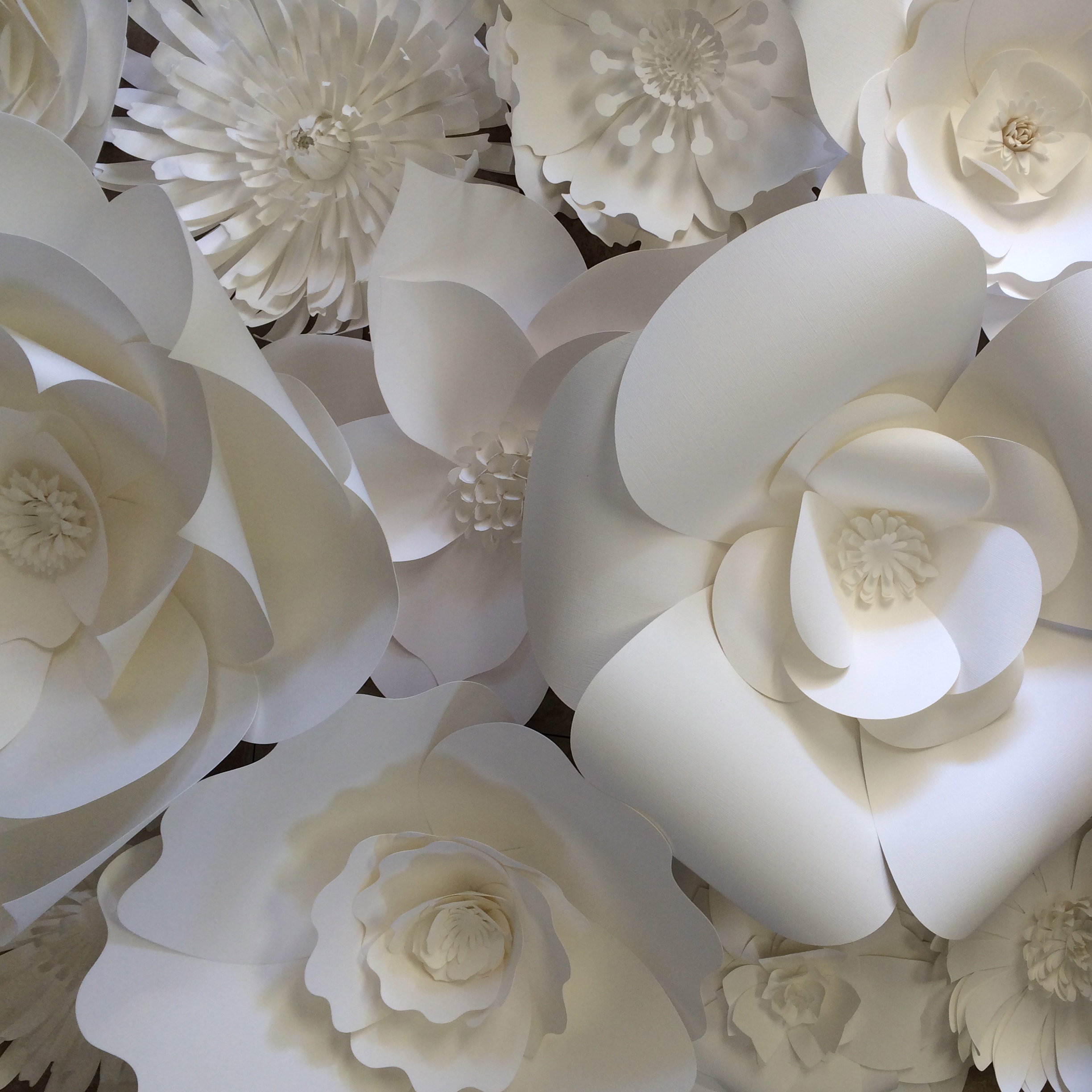 White Paper Flower Backdrop