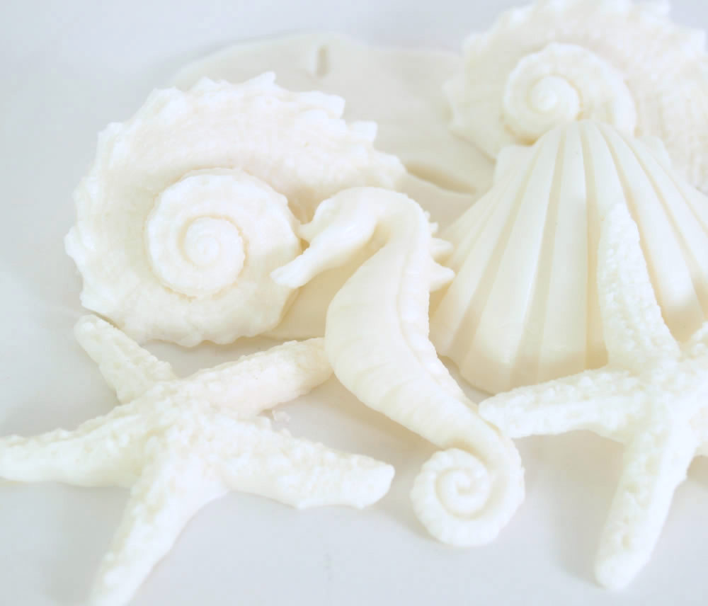 Sea Shell Soap In White