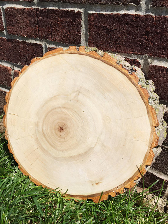 Tree Slice Centerpiece-Wedding Decor-Wood Round ...