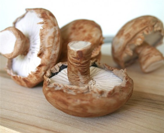 handmade chocolate mushrooms