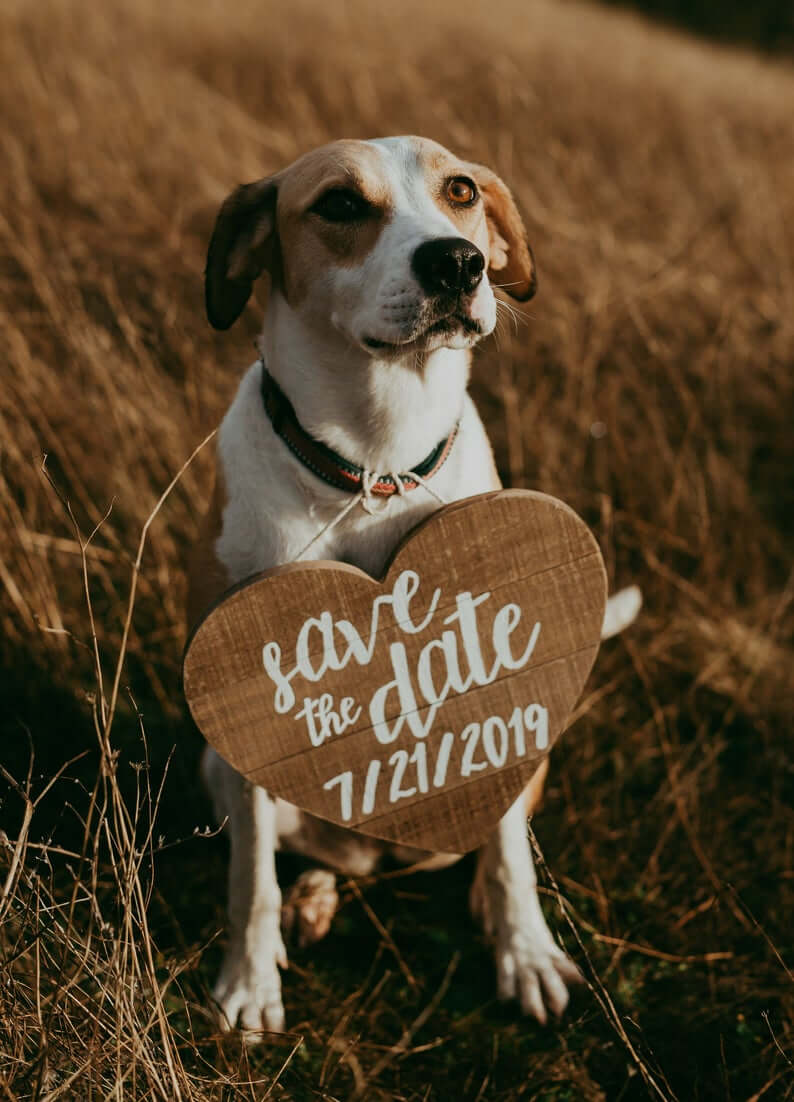 Save the Date Sign: Heart Photo Prop -- for Your Dog! | Emmaline Bride