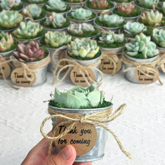 50 Most Creative Shower Favors of All Time [2025 Edition]