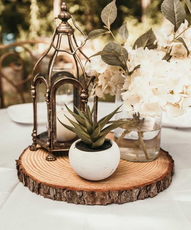 Slice Wood Coasters disque center piece mariage WILD THINGS SONT 10 L'ORME log 6-7 in