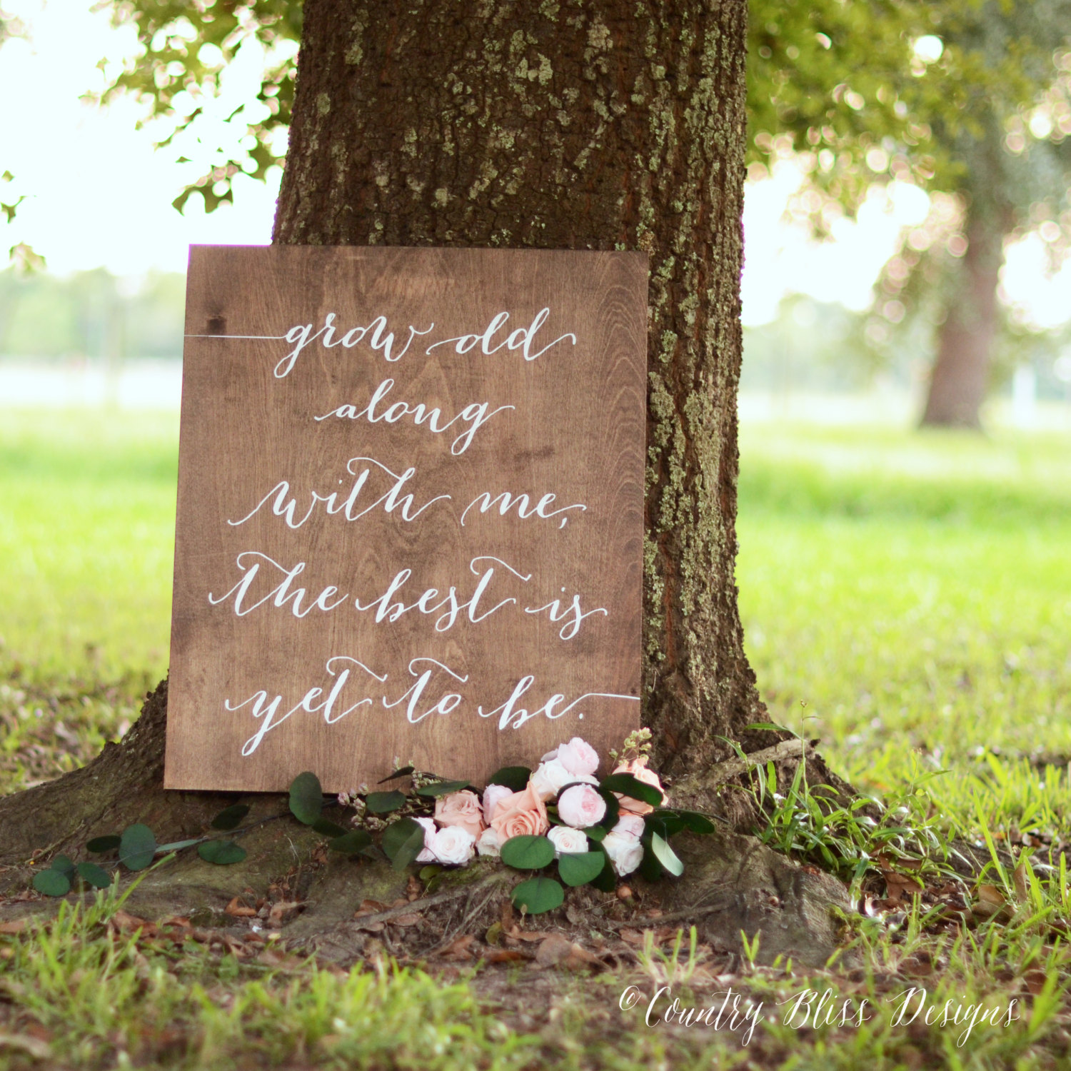 Wedding Anniversary Quotes: 30+ Sweetest Quotes for Your Love, image size:1500x1500