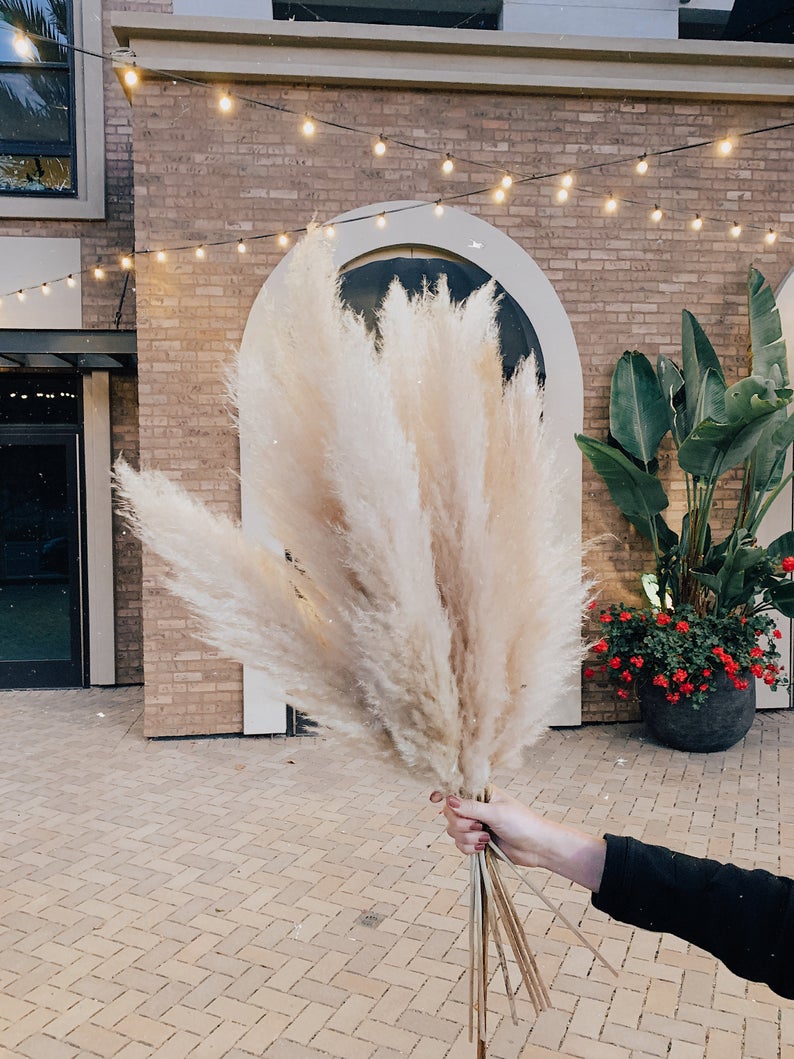 The Best Places to Buy Pampas Grass for Weddings Emmaline Bride