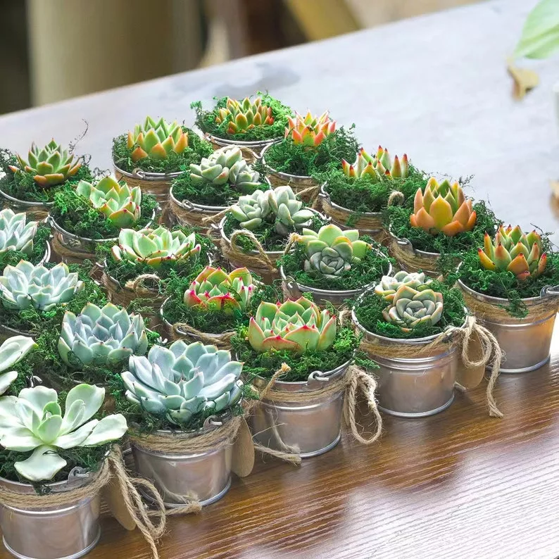 50 Best Wedding Centerpieces That Are Not Flowers | Unique Non-Floral Ideas