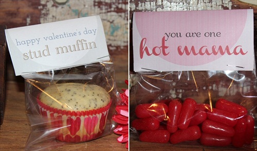 6 Best DIY Valentine's Day Gifts (project by Tutto Bella Blog)