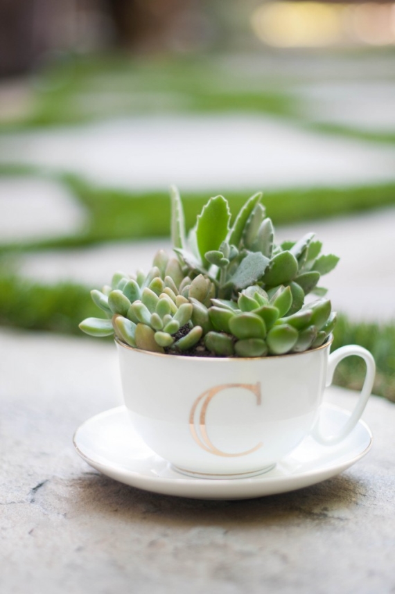 monogrammed succulent teacup by confetti and cleats via Easy DIY Wedding Ideas